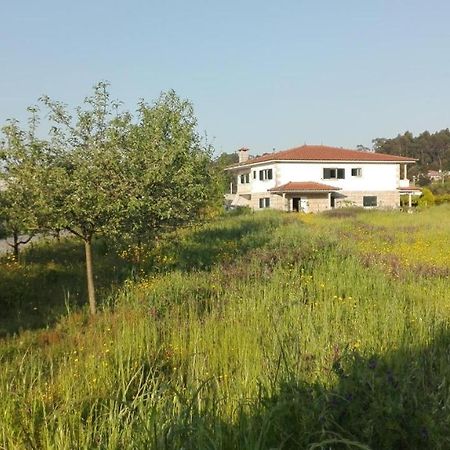 Casa Do Senhor Da Ponte Villa Gondifelos Dış mekan fotoğraf