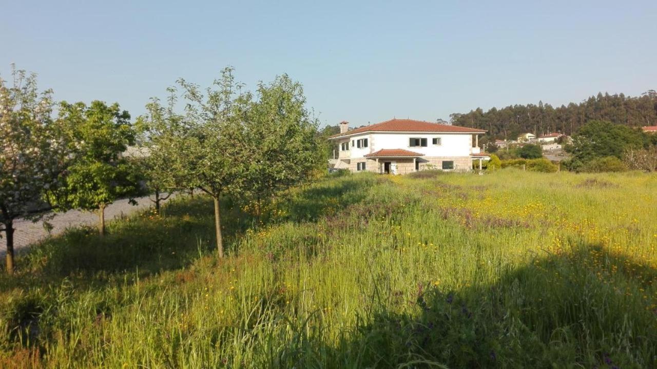 Casa Do Senhor Da Ponte Villa Gondifelos Dış mekan fotoğraf